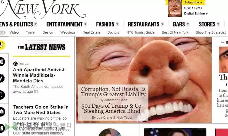 잡지 표지서 돼지로 등장한 트럼프