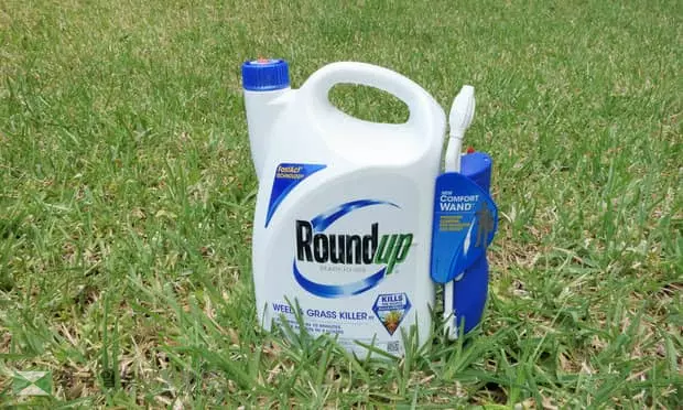 "라운드업<제초제> 쓰다 암 발병"  거액 배상 판결