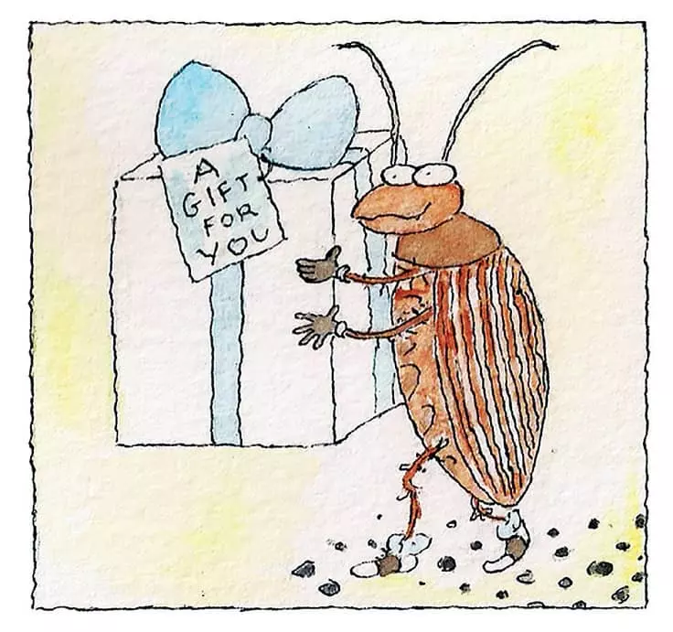 바퀴벌레-질병 옮기는 것보다 알러지 천식 유발이 더 위험