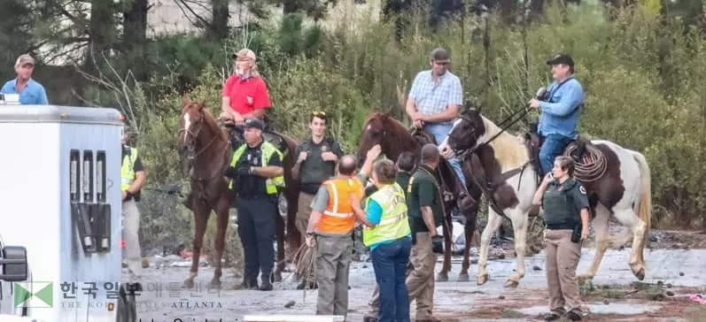 하이웨이에 때 아닌 카우보이 등장