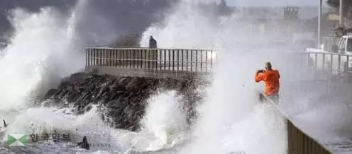 시애틀 겨울 폭풍... 30만명 암흑 속 밤샘