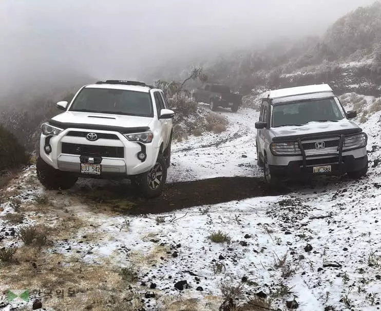 열대기후 하와이에 '눈'