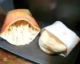 10년째 썩지 않는 맥도널드 치즈버거