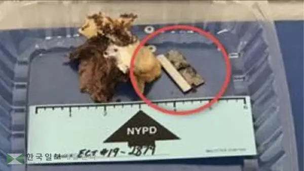 샌드위치 먹다가 면도칼이…