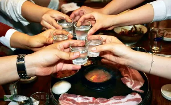 “술 강권 금지·자리 배치도 신경써야"