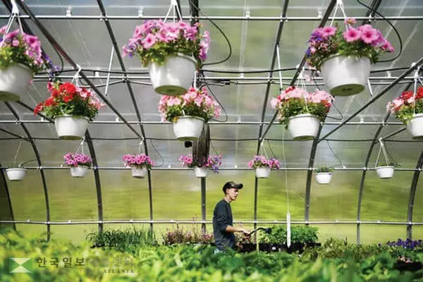원예업계, 코로나에 ‘때아닌 특수’