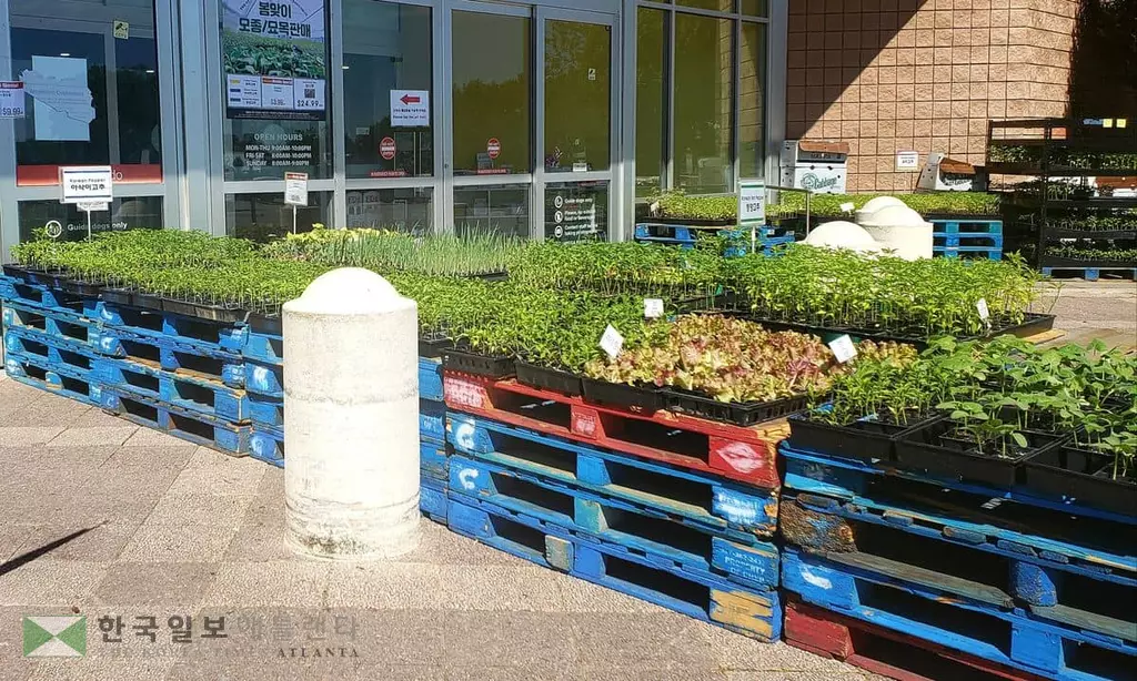 <주말 마트정보> 우리가족 건강한 먹거리 장만하세요!