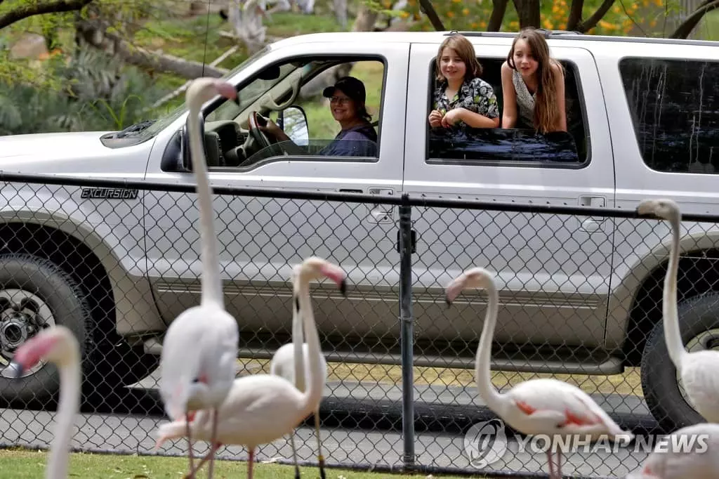 '드라이브 스루'로 운영되는 미국 동물원