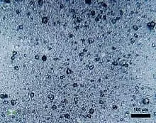 "인체 모든 조직, 미세 플라스틱 오염"
