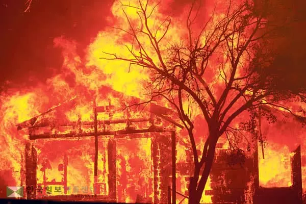 “서울 면적 2배 넘게 불탔다”