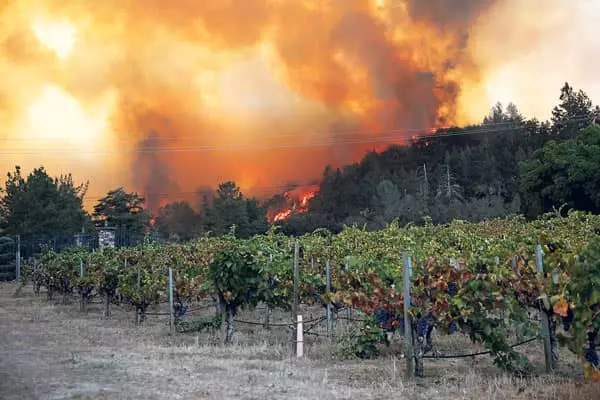 와인산지 나파밸리까지 활활, 폭염·강풍속 또 산불 비상
