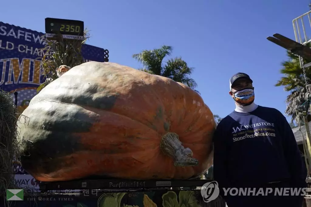 호박대회서 우승한 1t 초대형 호박