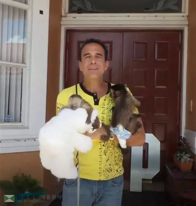 '표범 만져보기' 체험 나섰다가…크게 다친 미 남성