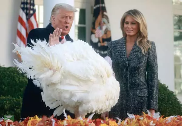 트럼프, 백악관서 칠면조 사면식
