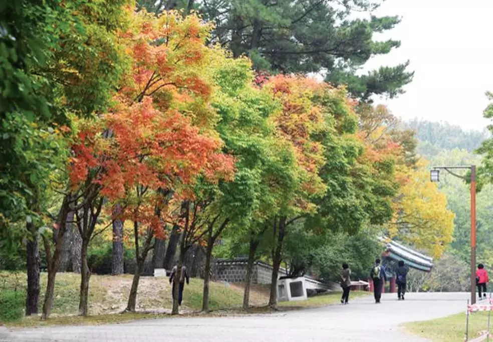 삼천궁녀는 잊어주오… 낙화암 가는 길, 걸을수록 아득하다