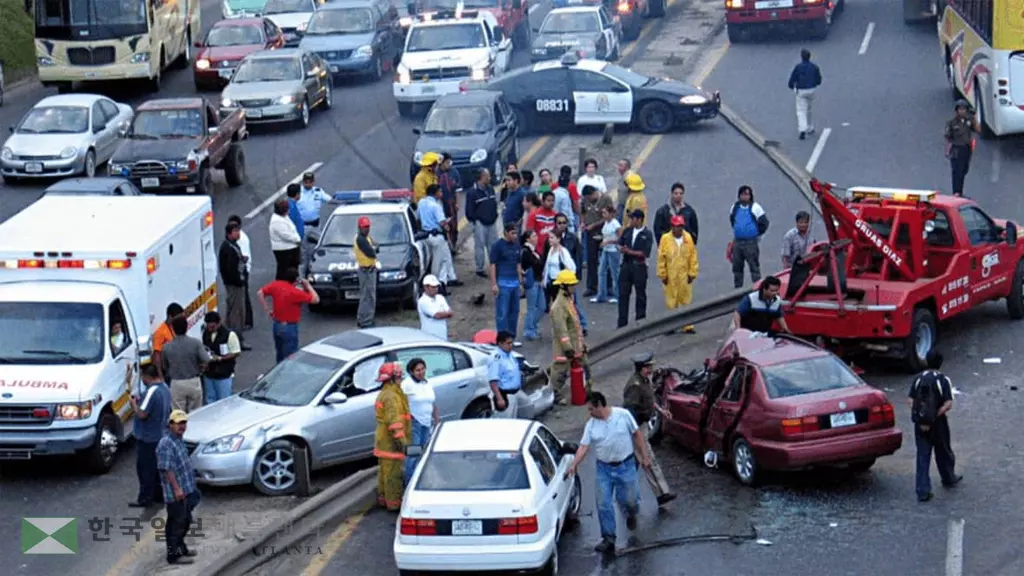 4년만에 조지아 교통사고 사망자 급증