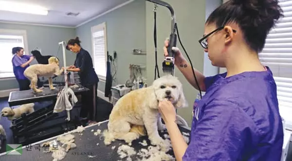 코로나19발 불황, 투잡스 ‘부업’으로 견뎌낸다