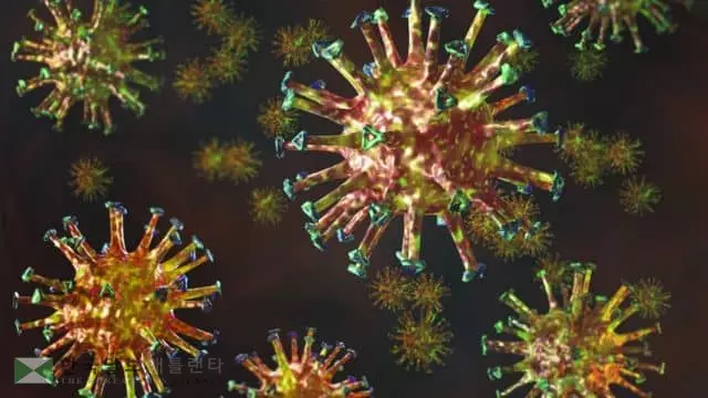 조지아에서도 변종 코로나 감염자 나와