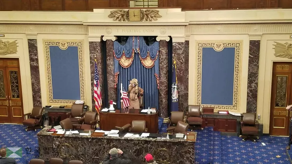 바이킹 복장 시위 남성 '안티파' 아닌 트럼프 추종자