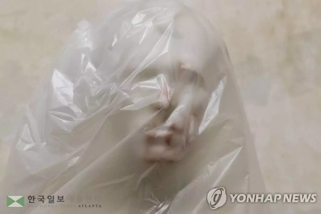 피묻은 대통령 흉상에 유리파편·쓰레기…약탈로 얼룩진 의회