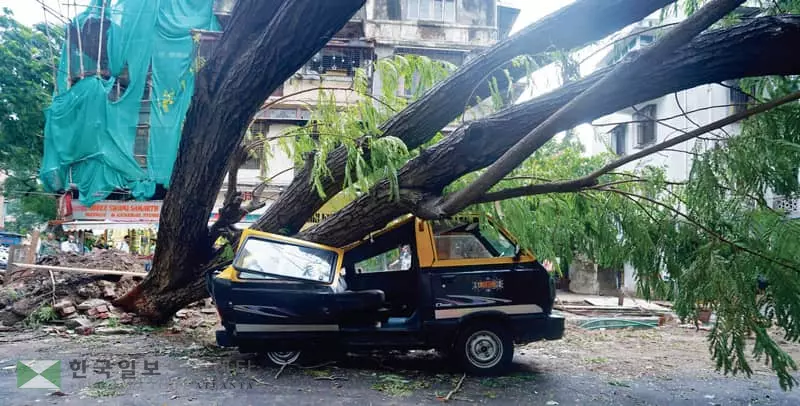 엎친데 덮친 인도… 초강력 사이클론 강타