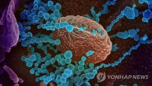 전세계 코로나 사망 400만명 넘어…델타변이가 가을 유행 '복병'