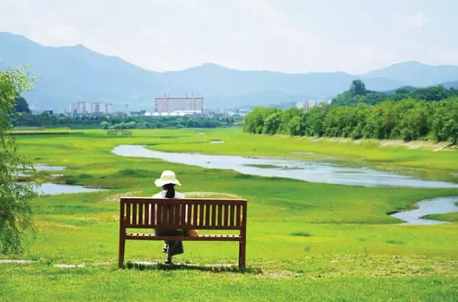 군인 발길 뜸해진‘청춘’고을에 오색 들꽃 만발