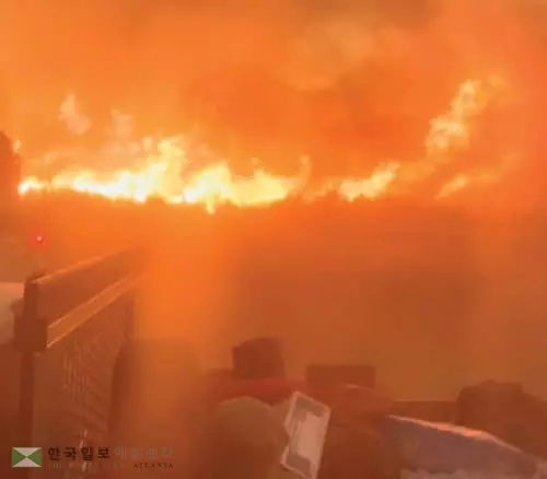 갈수록 심각해지는 산불 재앙