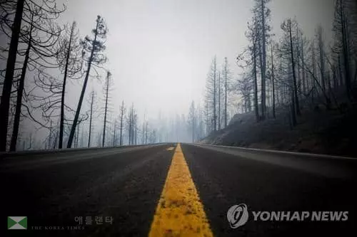 시에라 국유림[EPA=연합뉴스 자료사진]