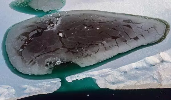 지구 온난화로 녹아내리는 그린랜드 빙산