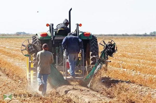 &nbsp;해운 물류 병목 현상으로 견과류를 비롯한 농산물을 해외에 수출하는 가주 농가들은 수출길이 막혀 애를 먹고 있다. [로이터]