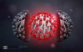 “델타보다 전염력 약해” vs “최고 5배 달할 것”