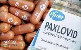 “코로나 치료 알약, 오미크론에 효과있을 것”