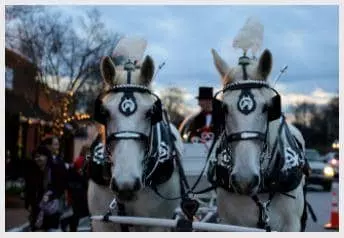 노크로스의 20년 전통인 마차타기가 12월 3일~22일(화,수,금) 오후 6시 30분부터 시작한다.