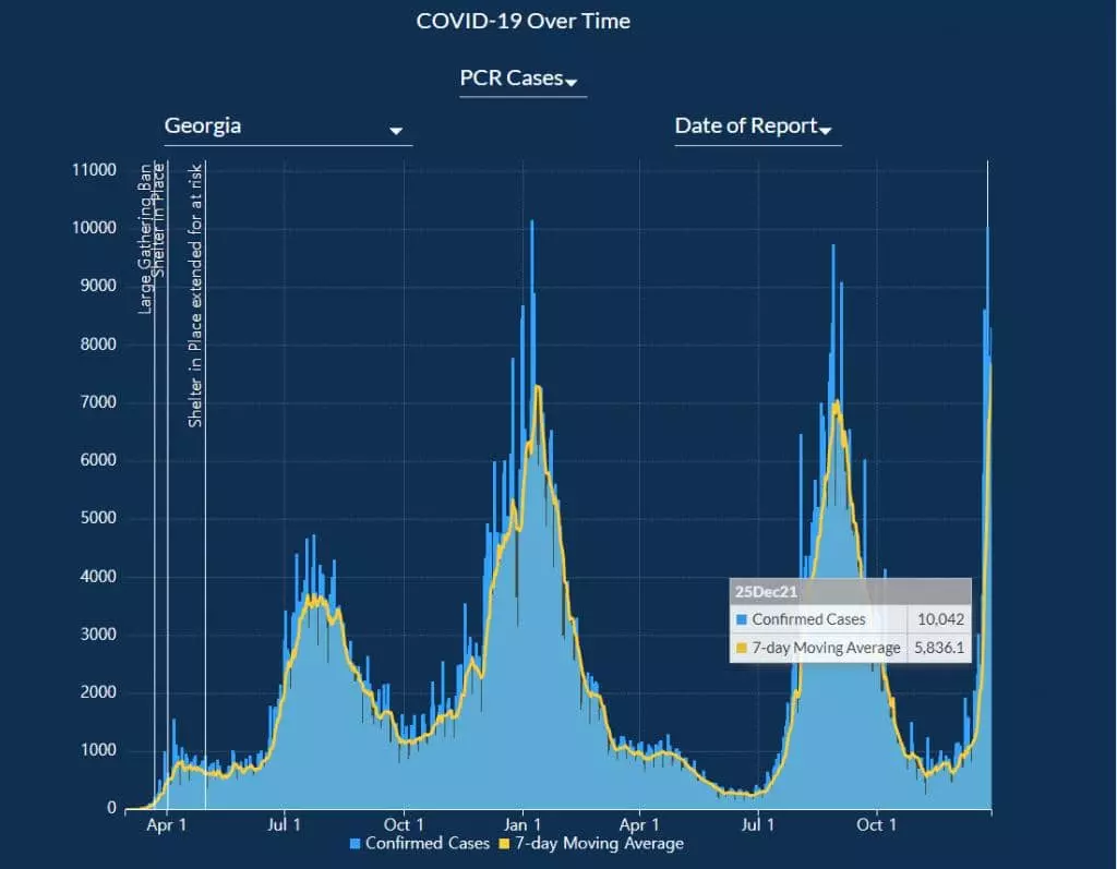 조지아주 코로나19 확진자 추세[출처=조지아보건부]