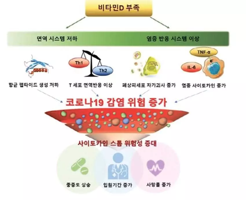 “비타민D 결핍되면 코로나19 발병 위험ㆍ중증도 악화”