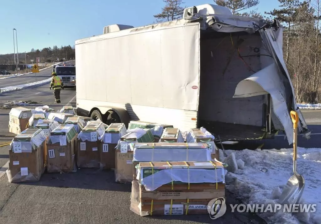 실험용 원숭이 싣고 가다 사고로 부서진 트레일러.