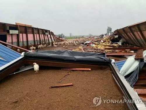 토네이도에 의해 폭격 맞은 듯 무너진 미시시피주 랭킨카운티의 한 양계장[랭킨카운티 보안관 브라이언 베일리 제공]