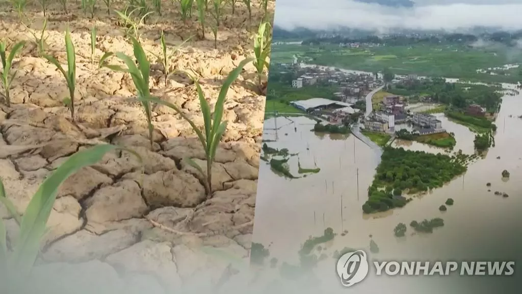 중국 남부는 폭우·중부는 가뭄…극단적 날씨에 신음(CG)[연합뉴스TV 제공]