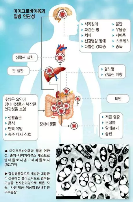 난치병 치료제부터 썩는 플라스틱…미생물의 무한변신