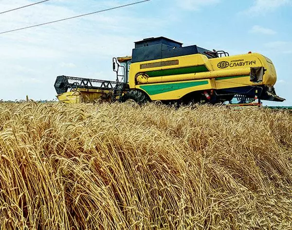  우크라이나 곡창지대에서 곡물이 재배되고 있다. [로이터]