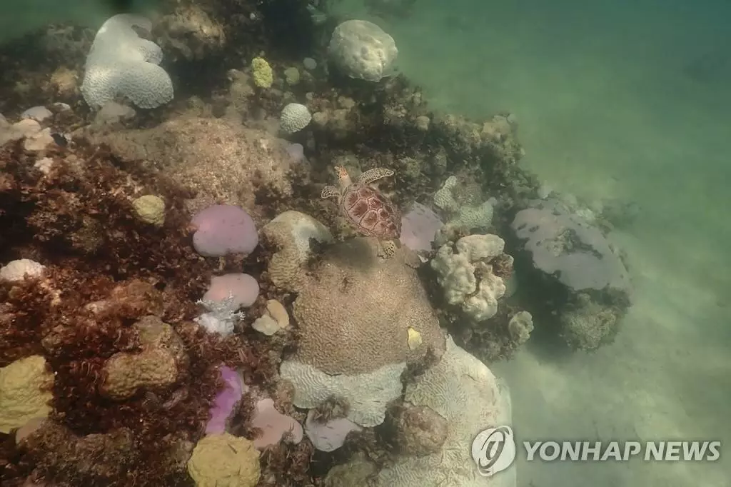 플로리다 해수 온도 상승[NOAA/AP=연합뉴스 자료사진. 재판매 및 DB 금지]