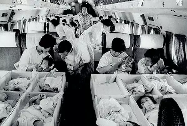  과거 한국의 한 입양기관이 해외로 가는 비행기에서 입양 대상 아동들 돌보고 있다. [국가기록원 제공]