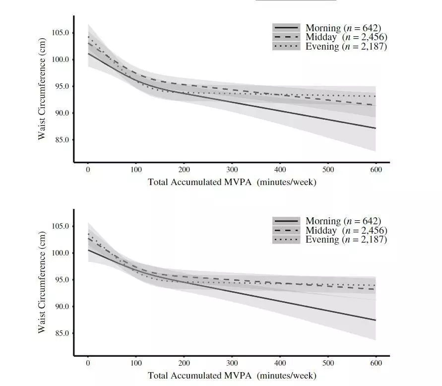 중·고강도 신체활동 시간대 및 총시간과 BMI 연관성 그래프. 위는 나이, 성별, 인종, 교육, 흡연, 음주, 앉아서 생활하는 시간을 반영한 모델, 아래는 건강한 식습관 지수 및 체중 킬로그램당 에너지 섭취량을 반영한 모델. [Tongyu Ma et al./Obesity 제공. 재판매 및 DB 금지]